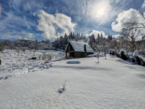 Shemoqmedi chalet in Ozurgeti Shemoqmedi chalet in Ozurgeti