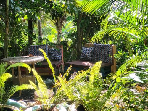 The Local Experience -Kosol Suite in Laborie The Local Experience -Kosol Suite in Laborie