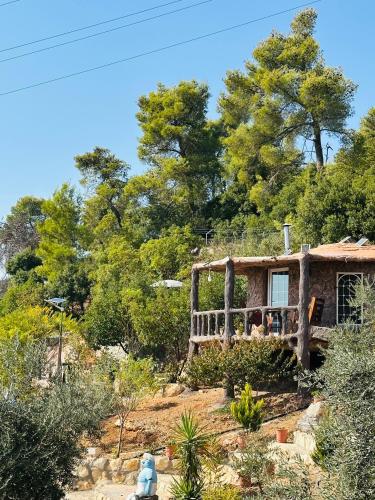 منتزه واكواخ كركوش in Ajloun منتزه واكواخ كركوش in Ajloun
