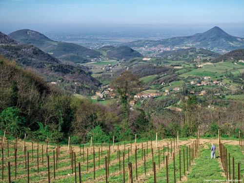 This photo about Hotel Terme Marco Polo shared on HyHotel.com