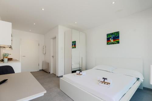 Campus Lugano {30 wonderful Smart Suites} in the university area in Lugano City Center Campus Lugano {30 wonderful Smart Suites} in the university area in Lugano City Center