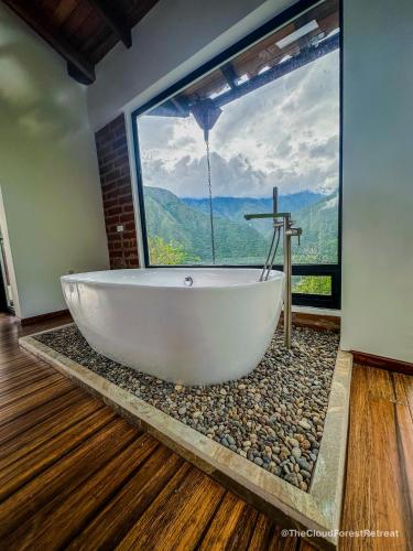 ทัศนียภาพ, The Cloud Forest Retreat in ซานอันโตนิโอเดอพิชินชา ทัศนียภาพ, The Cloud Forest Retreat in ซานอันโตนิโอเดอพิชินชา