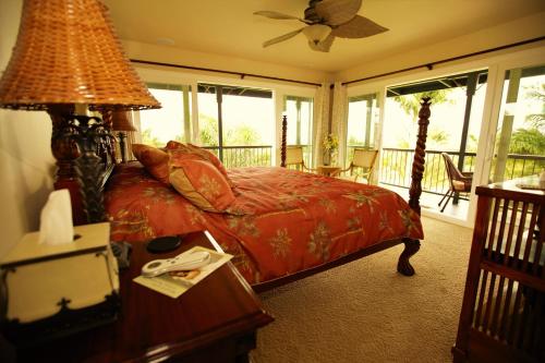 在meiguo.com看到的Island Goode's - Luxury Adult Only Accommodation near Hilo的介绍图片