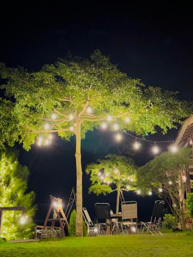 Cibo e bevande, LakHill Farmstay in Buon Mhang Cibo e bevande, LakHill Farmstay in Buon Mhang