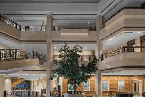 Restaurant, DoubleTree by Hilton Hotel Shanghai - Pudong in Shanghai Restaurant, DoubleTree by Hilton Hotel Shanghai - Pudong in Shanghai