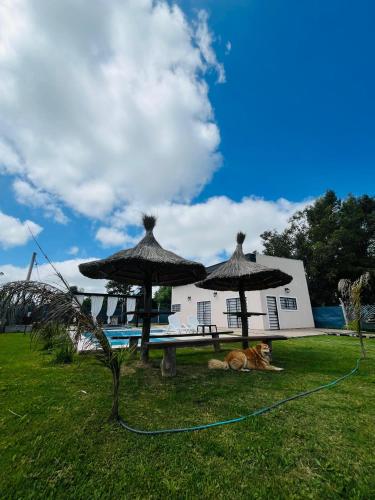 Quinta La Deseada Brandsen in Brandsen Quinta La Deseada Brandsen in Brandsen