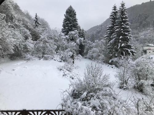 周邊環境, Ferienwohnung Schwitalla in 阿爾布魯克 周邊環境, Ferienwohnung Schwitalla in 阿爾布魯克