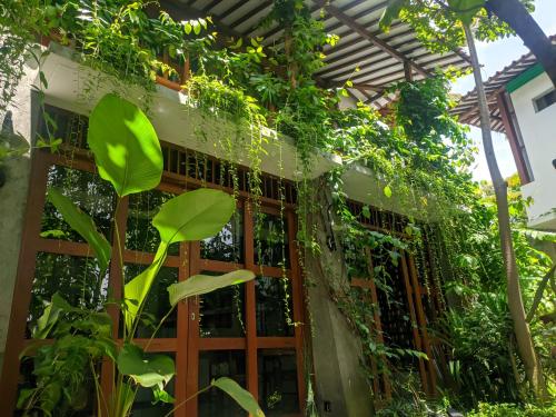 Omah Betakan Boutique Homestay in Sendangagung Omah Betakan Boutique Homestay in Sendangagung