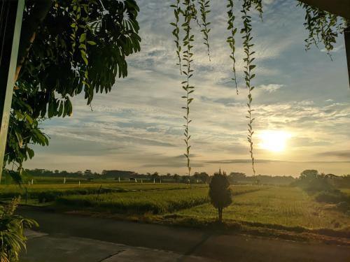 Omah Betakan Boutique Homestay in Sendangagung Omah Betakan Boutique Homestay in Sendangagung