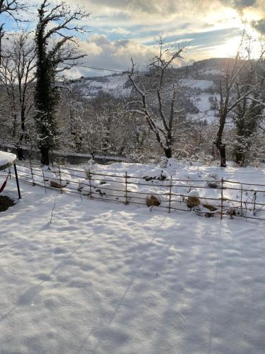 Katskhi Cottage, Your Cozy Stay in Chiat'ura City Katskhi Cottage, Your Cozy Stay in Chiat'ura City