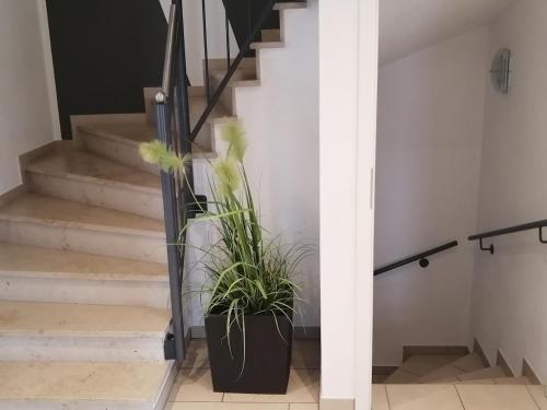 Comfortable semi-detached house in Pornbach Comfortable semi-detached house in Pornbach