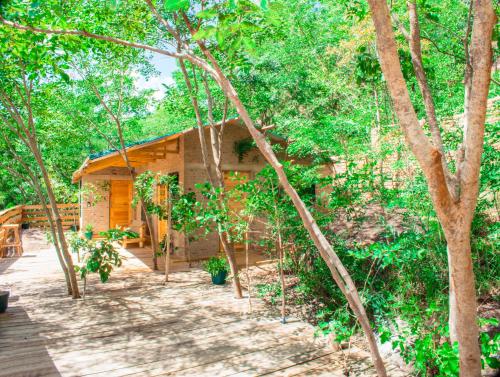 Jardín, Aika Sunrise - Your Home in the Hills in Iringa Jardín, Aika Sunrise - Your Home in the Hills in Iringa