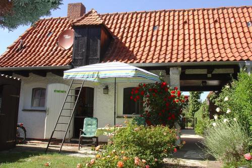 Remise in 青斯特 Remise in 青斯特