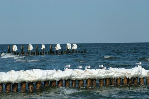 Remise in 青斯特 Remise in 青斯特