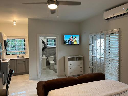Skyline Retreat- Luxury Studio with Rooftop Pool, TV & AC in Falmouth Skyline Retreat- Luxury Studio with Rooftop Pool, TV & AC in Falmouth