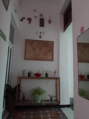 Surrounding environment, Hotel Minerva in Constitucion Surrounding environment, Hotel Minerva in Constitucion