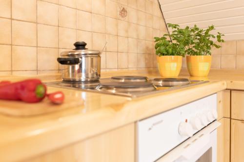 Ferienwohnung "Seestern" in Todendorf Ferienwohnung "Seestern" in Todendorf