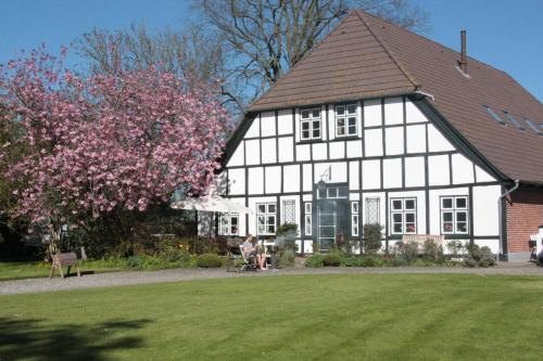 Muschelkorb in Todendorf Muschelkorb in Todendorf