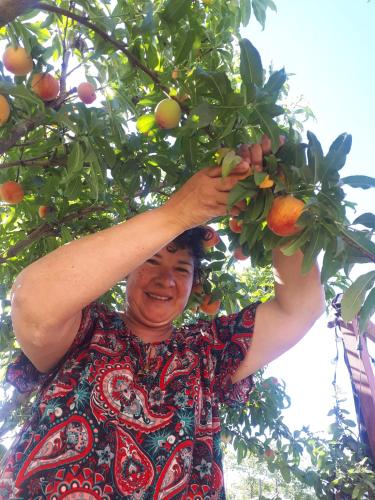 식음료(F&B), La cabaña de Don Luis (La cabana de Don Luis) in 캄포 키하노 식음료(F&B), La cabaña de Don Luis (La cabana de Don Luis) in 캄포 키하노