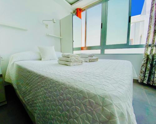 Recovery Las Canteras