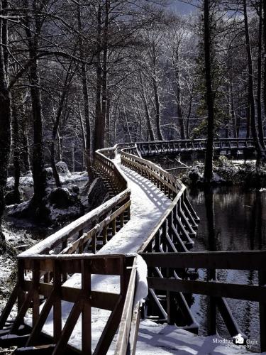 Nurr in Jajce Nurr in Jajce