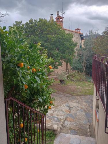 Kert, La Catalane in Prades Kert, La Catalane in Prades