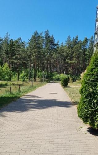 Pine Tops Retreat apartment in Lazdynėliai Pine Tops Retreat apartment in Lazdynėliai