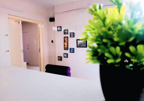 Little While global-Capsule hotel -Near metro in Kolkata Little While global-Capsule hotel -Near metro in Kolkata