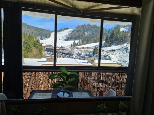 Au pied de la STATION avec vue sur les pistes