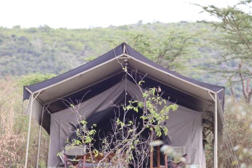 Elephant trails camp