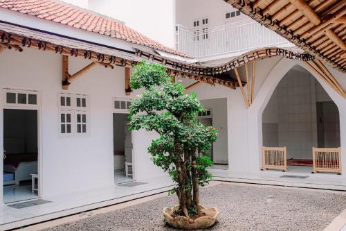 Garden, Cozy Corner House in Banyuwangi Town Garden, Cozy Corner House in Banyuwangi Town