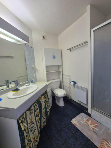 Douche, Le Quercus appartement 2,4 personnes proche mer in Vallon de Coste Douche, Le Quercus appartement 2,4 personnes proche mer in Vallon de Coste