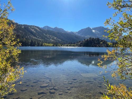 Whispering Pines in June Lake (CA) Whispering Pines in June Lake (CA)