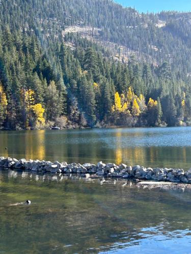 Whispering Pines in June Lake (CA) Whispering Pines in June Lake (CA)