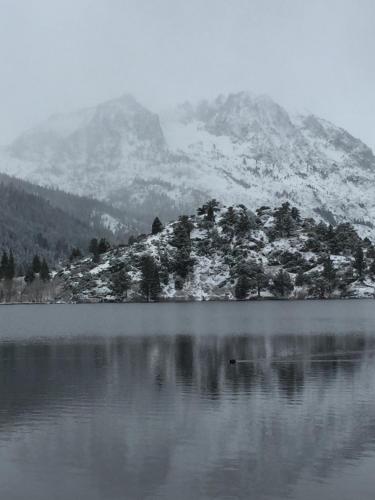 Whispering Pines in June Lake (CA) Whispering Pines in June Lake (CA)