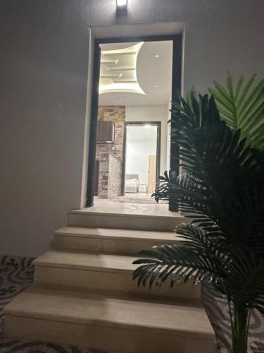 مسبح, اجنحة الشرق الفندقيه in جامعة طيبة مسبح, اجنحة الشرق الفندقيه in جامعة طيبة