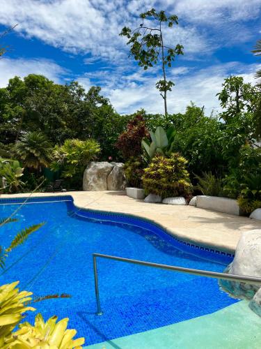 Басейн, El Clan Hostel in Puerto Viejo de Talamanca Басейн, El Clan Hostel in Puerto Viejo de Talamanca