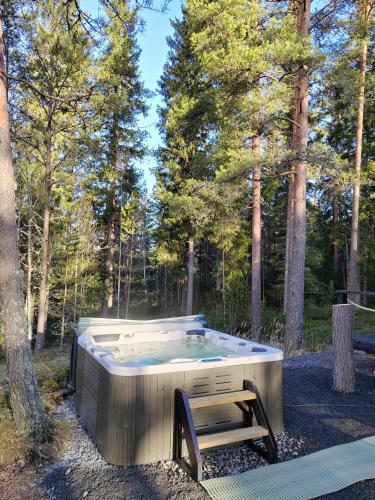 A környék, Nikolain tupa, vanha hirsitalo in Tuorila A környék, Nikolain tupa, vanha hirsitalo in Tuorila