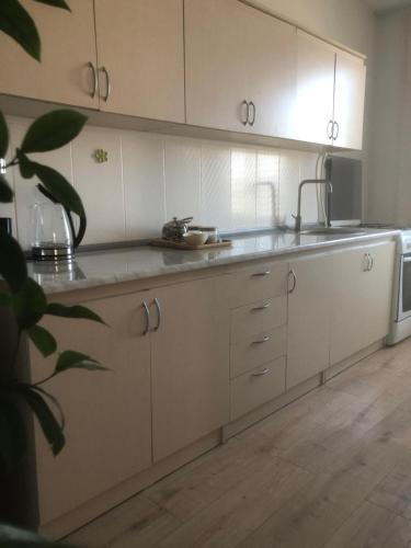 TREFOIL in 斯特阿娜文 TREFOIL in 斯特阿娜文