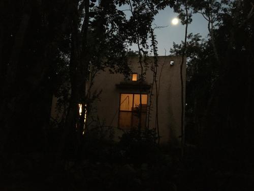 Exterior view, barefoot jungle studios in Macario Gomez Exterior view, barefoot jungle studios in Macario Gomez