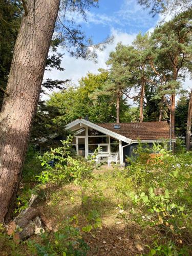 A szálláshely kívülről, Idyllic Cottage In The Nature Close To The Beach in Vaeggerlose A szálláshely kívülről, Idyllic Cottage In The Nature Close To The Beach in Vaeggerlose