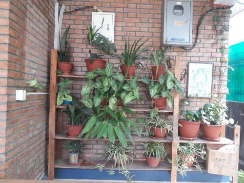 Namaste Kathmandu Bed and Breakfast in Maharajgunj Namaste Kathmandu Bed and Breakfast in Maharajgunj