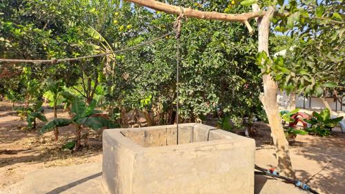 Adama Jarju's Horticultural Garden in Gunjur Adama Jarju's Horticultural Garden in Gunjur