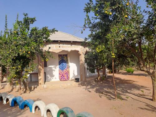 Adama Jarju's Horticultural Garden in Gunjur Adama Jarju's Horticultural Garden in Gunjur