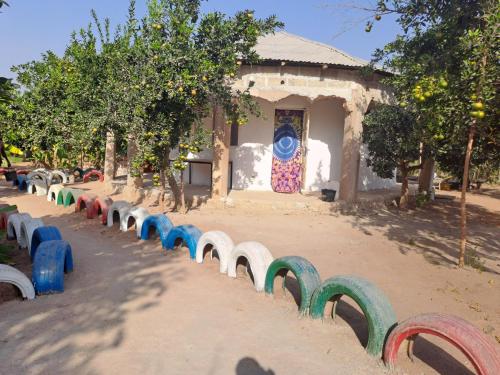Adama Jarju's Horticultural Garden in Gunjur Adama Jarju's Horticultural Garden in Gunjur