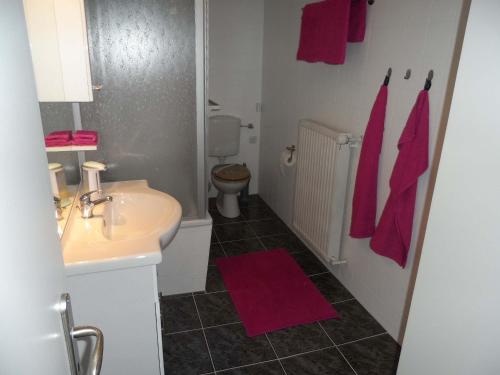 Fürdőszoba, Ferienwohnung Braun in Lindau városközpont Fürdőszoba, Ferienwohnung Braun in Lindau városközpont