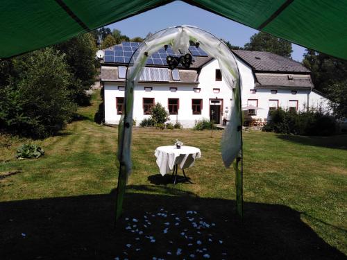 Garden, Tichy mlyn in Pelhrimov Garden, Tichy mlyn in Pelhrimov