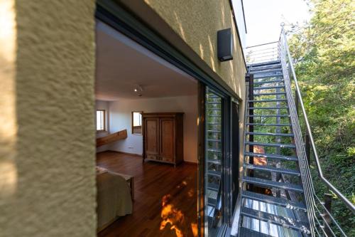 A szálláshely kívülről, Ferienhaus hoch uber dem Taubertal mit fantastischem Weitblick, Dachterrasse, 2000m2 großem Grundstu in Lauda-Königshofen A szálláshely kívülről, Ferienhaus hoch uber dem Taubertal mit fantastischem Weitblick, Dachterrasse, 2000m2 großem Grundstu in Lauda-Königshofen