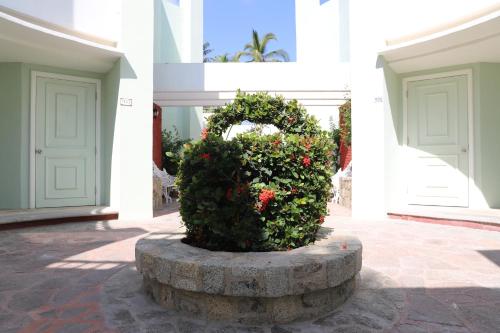 Garden, Pierre Mundo Imperial in Acapulco Garden, Pierre Mundo Imperial in Acapulco