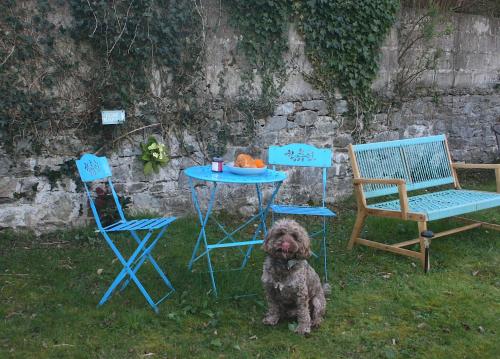 The Luxury Dartmoor Den, Dartmoor, Devon in Ashburton The Luxury Dartmoor Den, Dartmoor, Devon in Ashburton